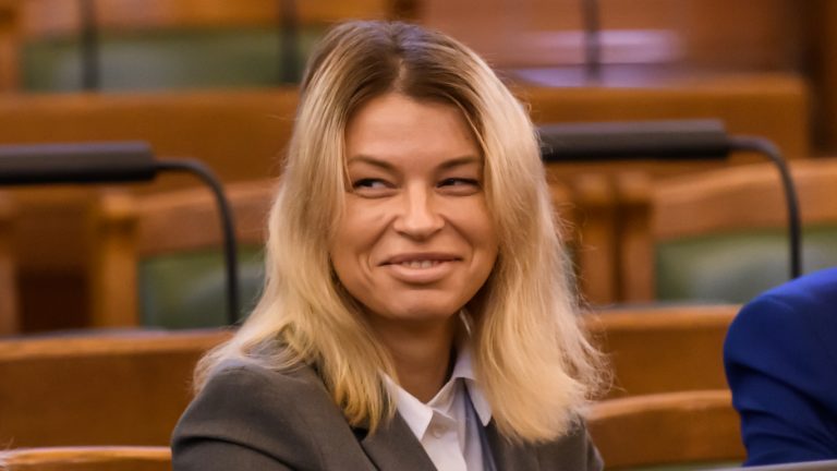 Независимый депутат Гревцова не поддержит кандидатуру Ринкевича