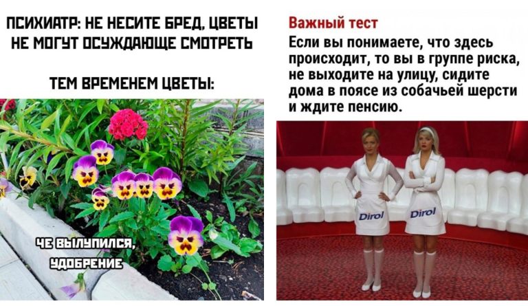 Прикольные картинки с надписями и осуждающие цветы
