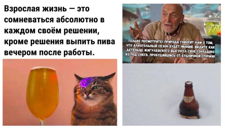 Пост алкогольного юмора на выходные и взрослая жизнь