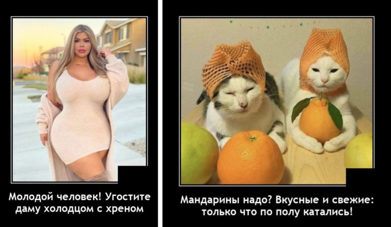 Новые демотиваторы и холодец с хреном
