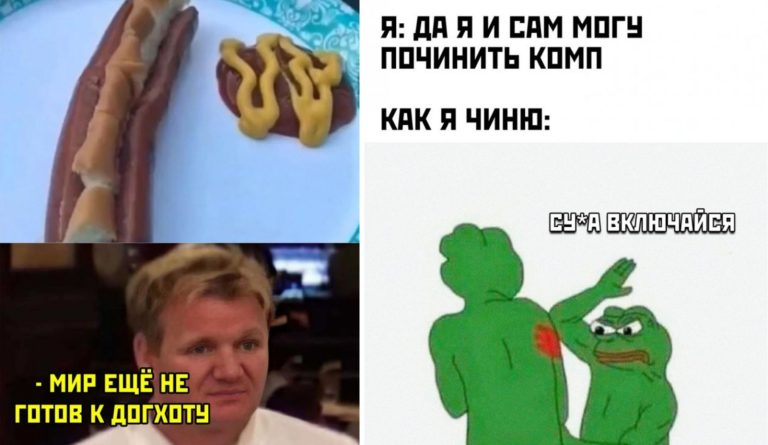 Прикольные картинки с надписями и дог хоты