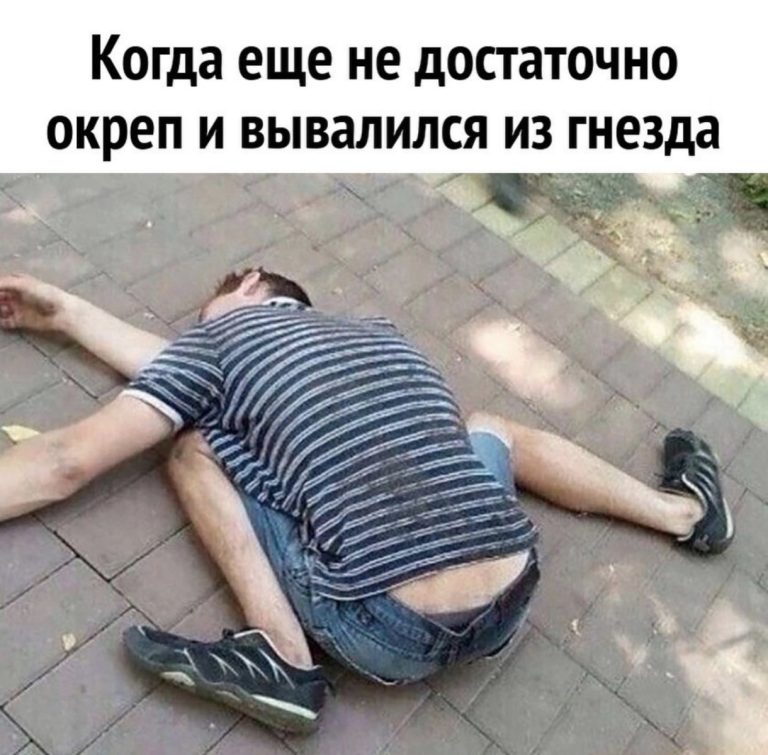 Юмор за день и сны на немецком