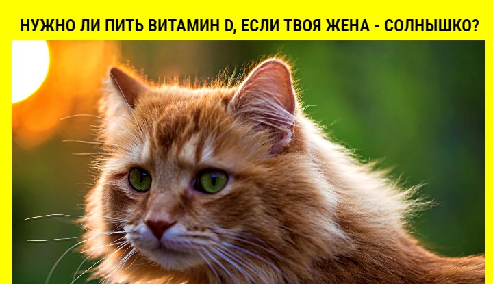 Витаминная АБВГдейка: надо знать и соблюдать