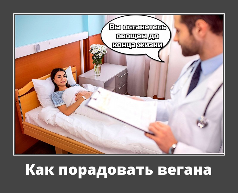 Новые демотиваторы и как порадовать вегана