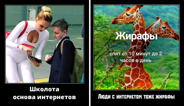 Новые демотиваторы и основы интернета