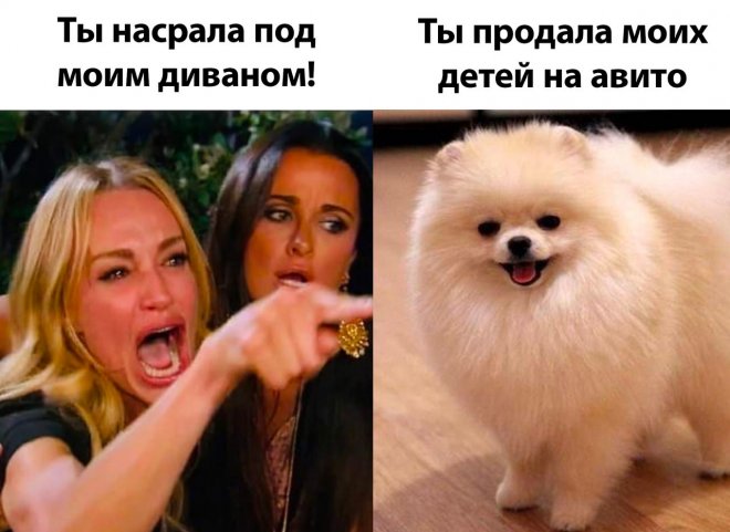 Прикольные картинки с надписями и продажа щенков