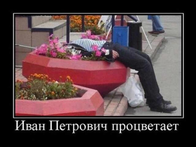 Новые демотиваторы и Петрович процветает