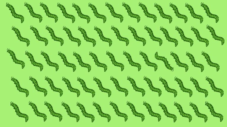 Если вы сумели на это картинке найти “неправильного” червяка, ваш IQ равен 140