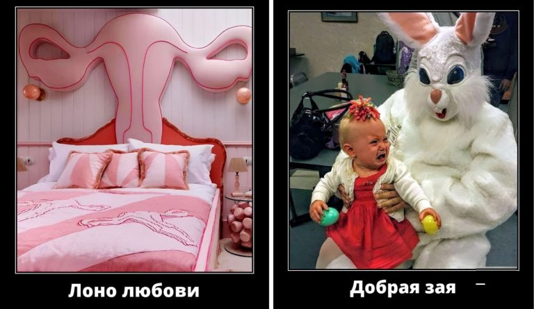 Новые демотиваторы и добрая зая