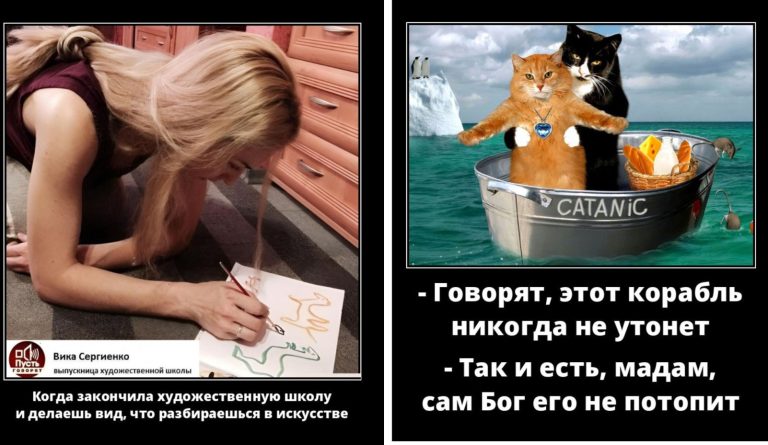 Новые демотиваторы кошачий титаник