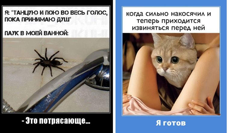 Новые демотиваторы и когда сильно накосячил