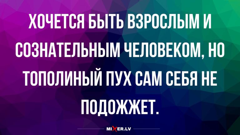 Юмор за день и тополиный пух