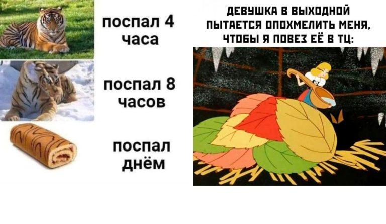Прикольные картинки с надписями и дневной сон