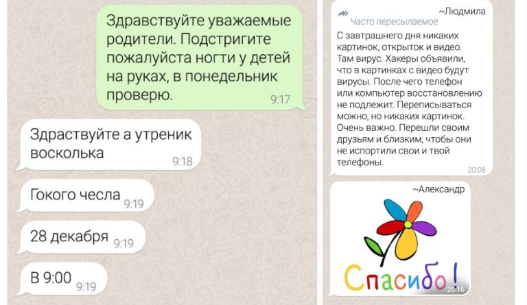 Дайте списать гербарий! 20 забавных переписок из родительских чатов