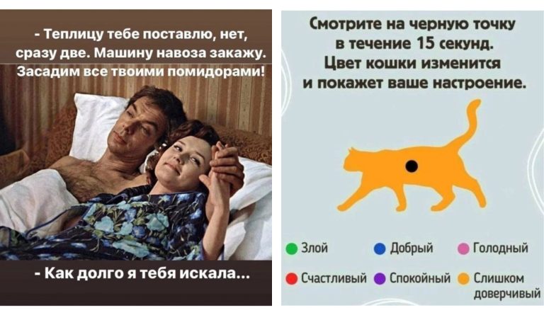 Прикольные картинки с надписями и дачные планы
