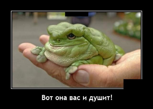 Новые демотиваторы и когда душит жаба