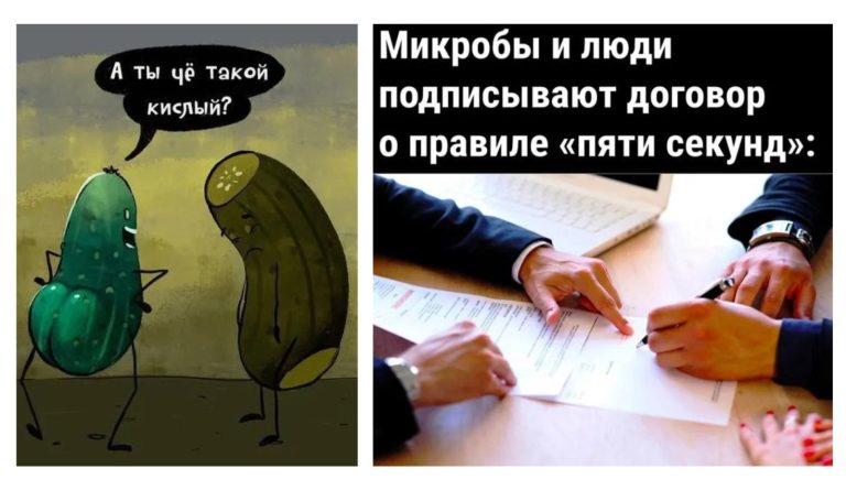 Прикольные картинки с надписями и правило пяти секунд