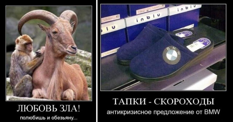 Новые демотиваторы и тапки скороходы