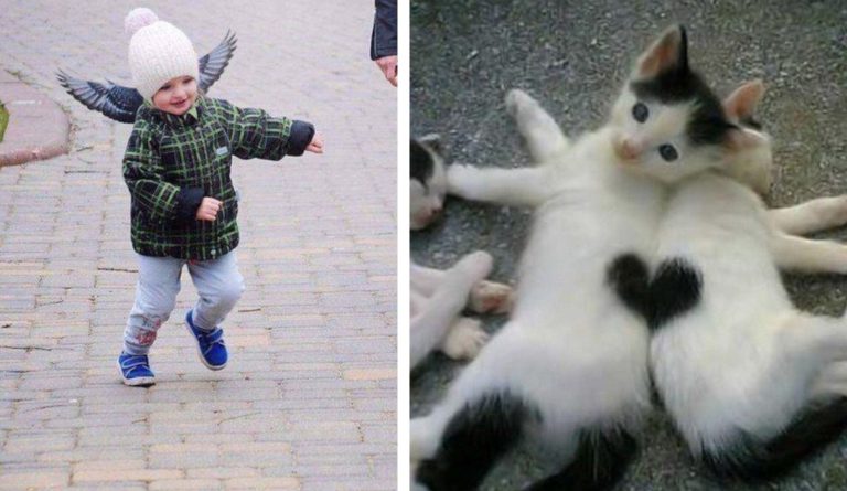 17 фотографий, которые могут вас удивить или хотя бы показать, что так бывает