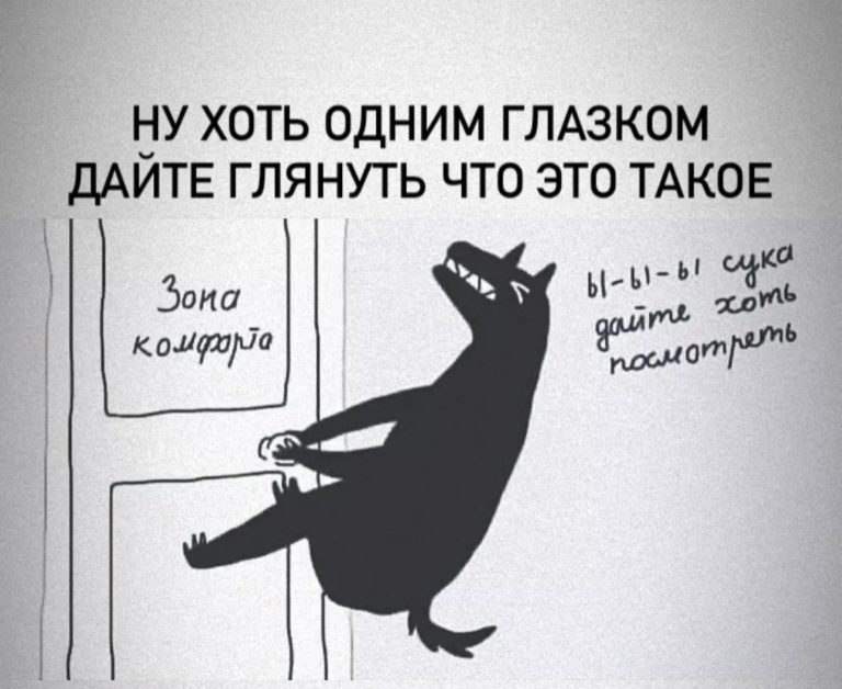 Юмор за день и зона комфорта