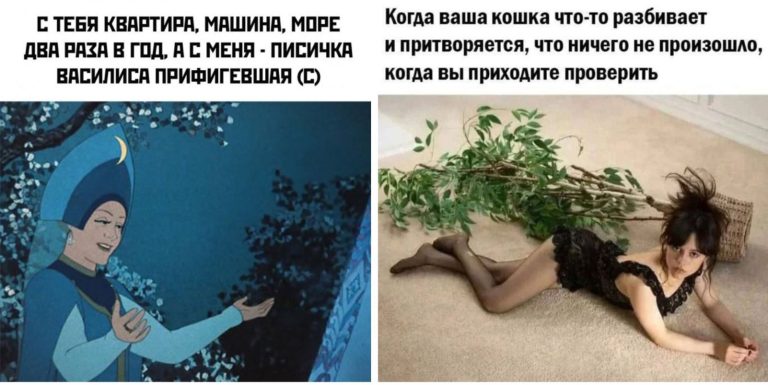 Прикольные картинки с надписями и Василиса