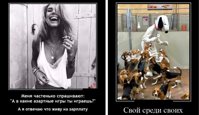 Новые демотиваторы и свой среди своих