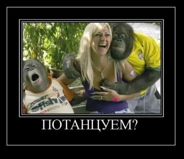 Новые демотиваторы и приглашение на танец