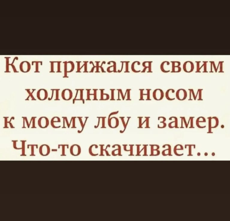 Юмор за день и спустя 2 секунды
