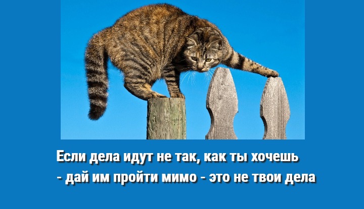 7 умных цитат, которые вас улыбнут. Пользуйтесь ими ежедневно