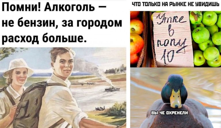 Прикольные картинки с надписями и расход за городом