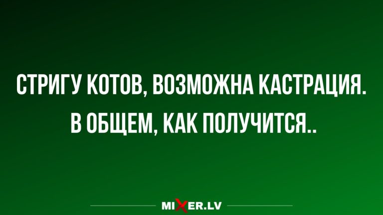 Юмор за день и стрижка котов