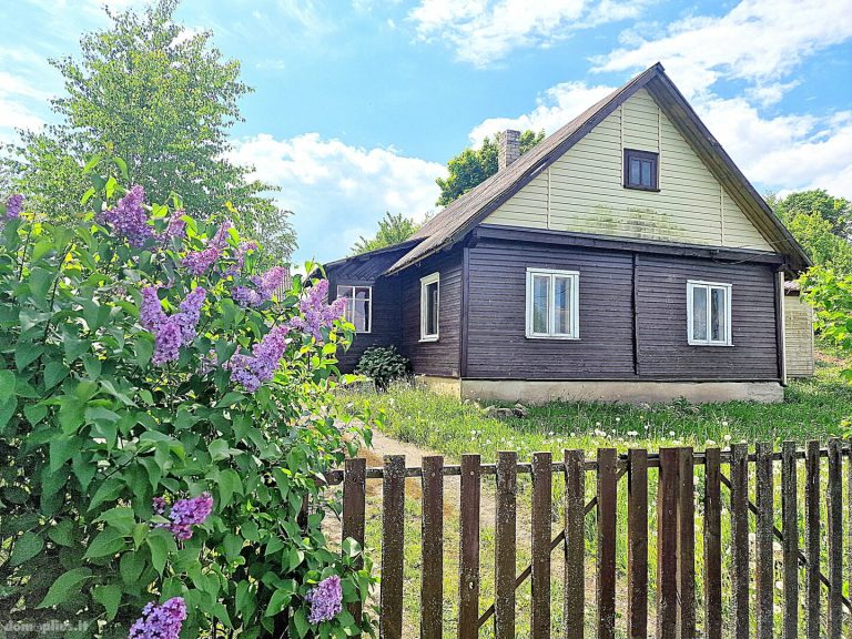 Европейский эксперт: в Литве люди не могут позволить себе отапливать дома