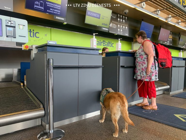 В airBaltic объяснили почему собаку-поводыря пассажирки не пустили на борт
