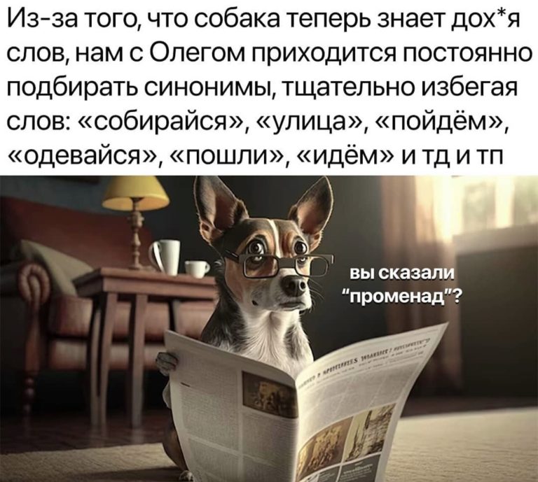 Юмор за день и страшная ошибка