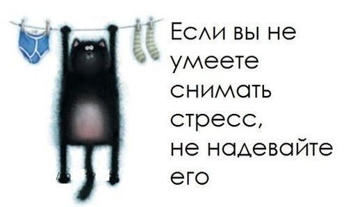 12 эффективных методик снять стресс для тех, у кого нет времени на медитацию