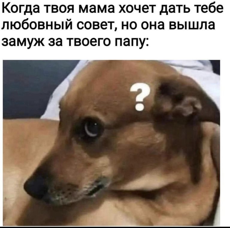 Юмор за день и поросекко