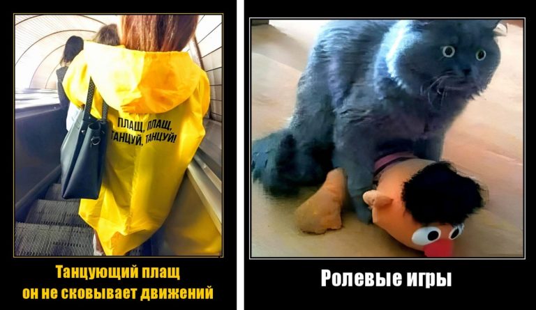 Новые демотиваторы и ролевые игры
