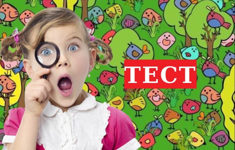 Тест — вызов вашему интеллекту: найдите спящую птичку и спите спокойно!
