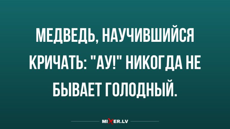 Юмор за день и кричащий медведь
