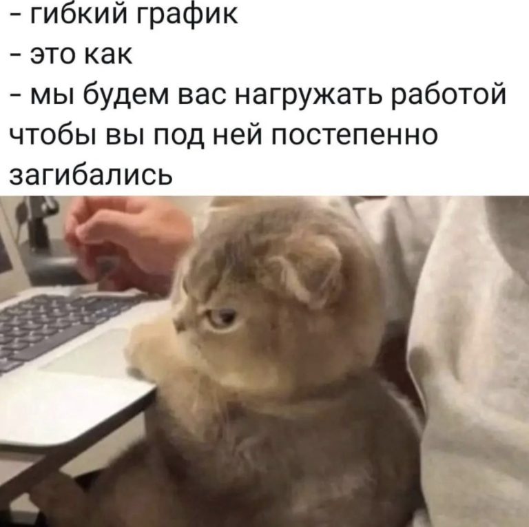 Юмор за день и гибкий график