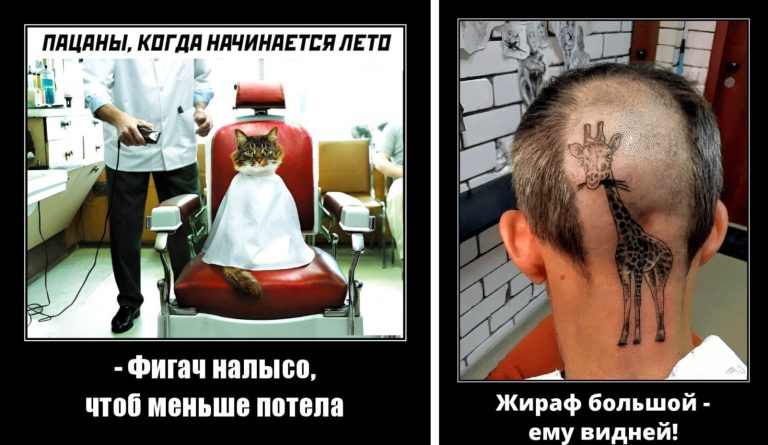 Новые демотиваторы и большой жираф