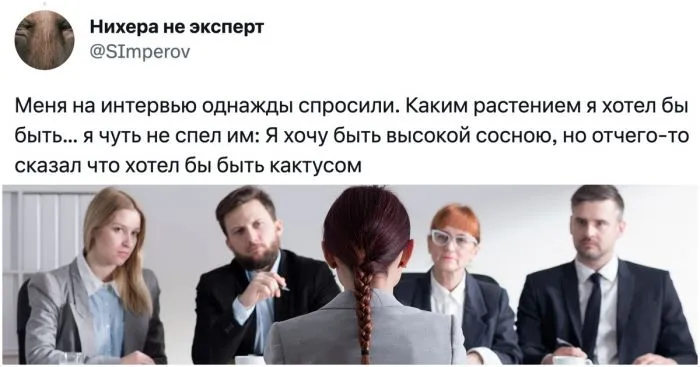 Адская работа в склочном коллективе: непридуманные истории про соеседования