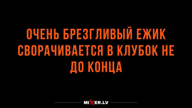 Юмор за день и брезгливый ёжик