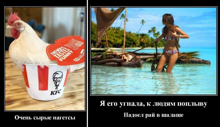 Новые демотиваторы и рай в шалаше
