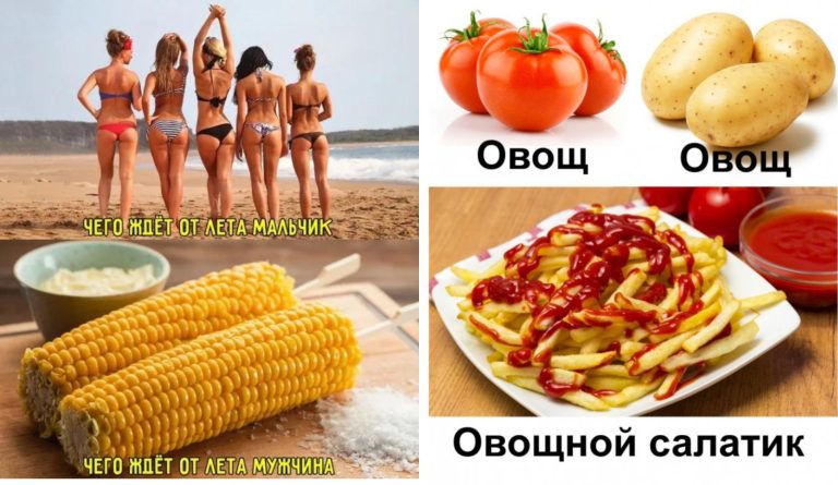 Прикольные картинки с надписями и овощной салатик