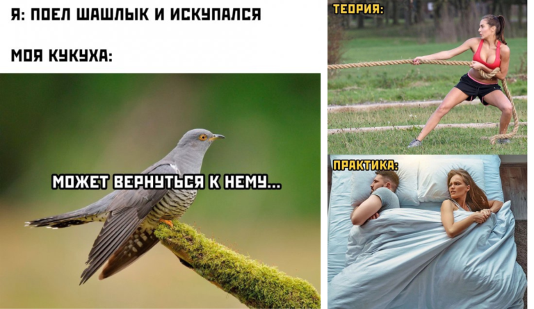 Прикольные картинки с надписями и возврат кукушки