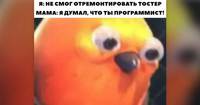 Назвался программистом — полезай в процессор: шутки и мемы про IT