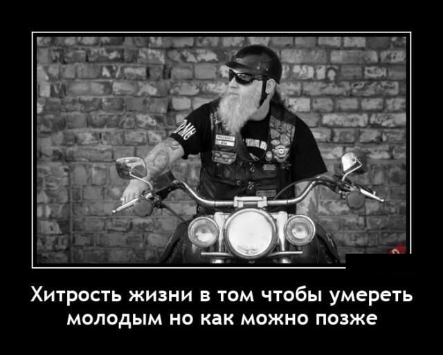 Новые демотиваторы и хитрость жизни