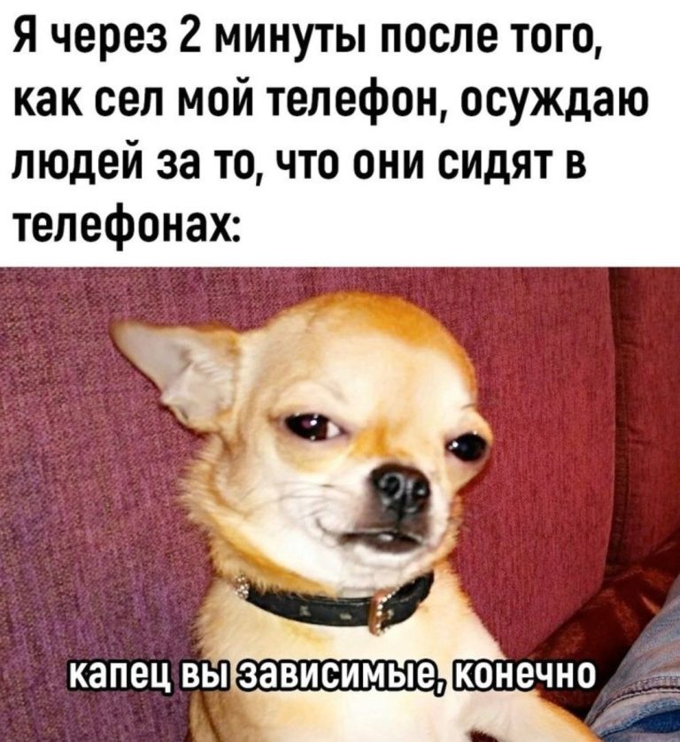 Юмор за день и женщина-кошка
