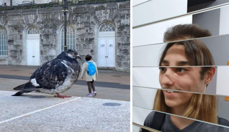 15 фотографий, на которых мерещится всякое, пока не взглянешь дважды